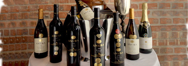 18. Januar 2014, Samstag "Weinprobe Südafrika" mit Winemaker Tymen Bouma