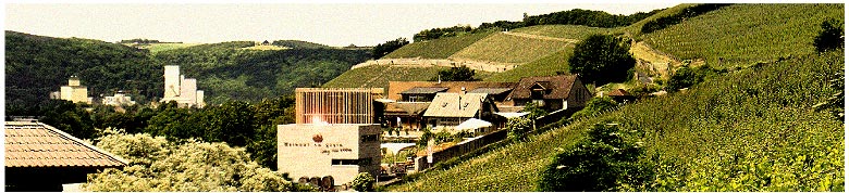 27.09.2014, Samstag Tagesfahrt-Weinreise und Erlebnistag nach Franken „Weingut am Stein mit Kellerführung und Weinverkostung